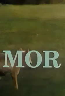 Mor