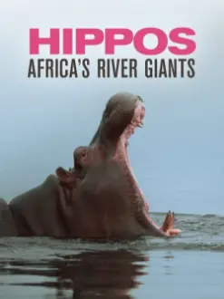 Hippos: Africa's River Giants