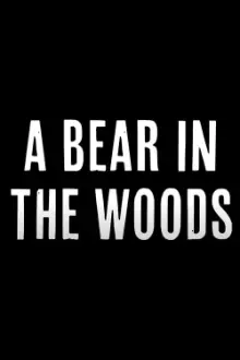 A Bear in the Woods