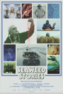 Seaweed Stories