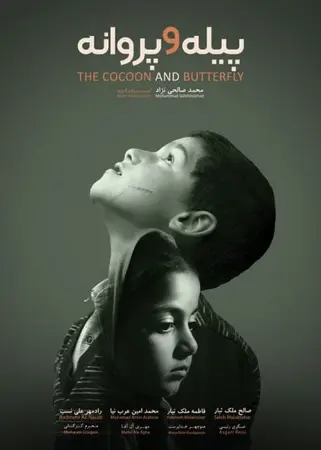 The Cocoon & Butterfly