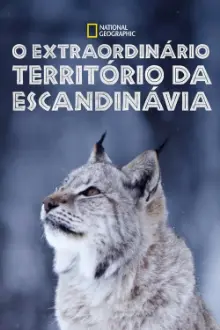 O Extraordinário Território da Escandinávia