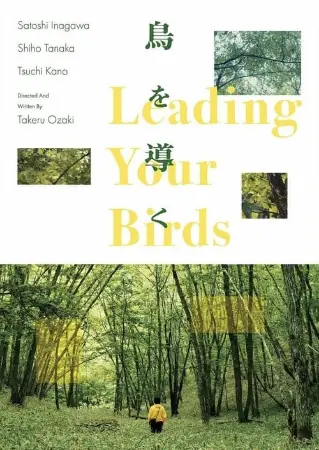 Leading Your Birds