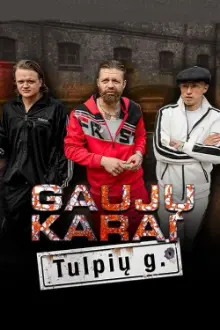 Gaujų karai. Tulpių gatvė