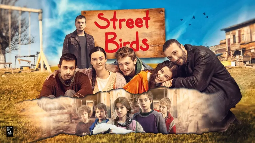 Street Birds