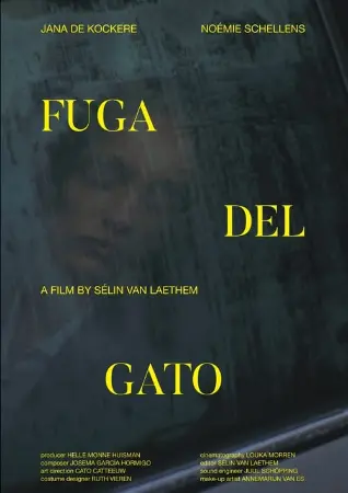 Fuga Del Gato