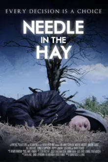 Needle in the Hay