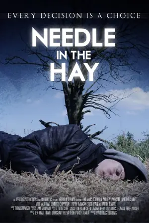 Needle in the Hay