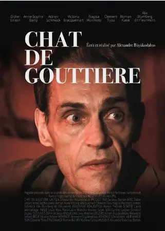 Chat de gouttière