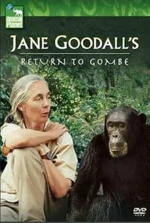 Jane Goodall's Return to Gombe