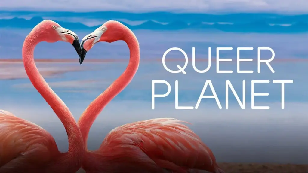 Queer Planet