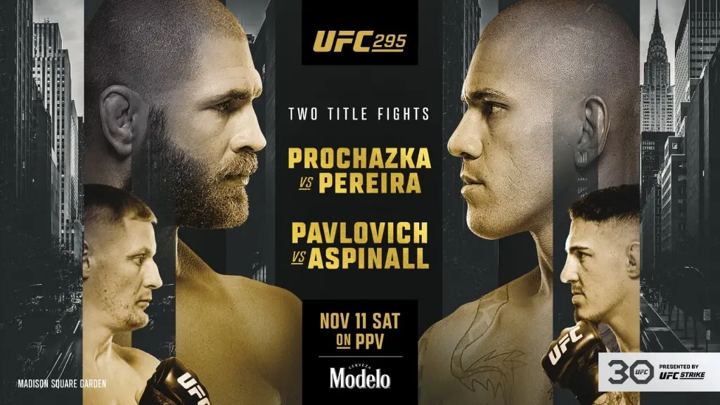 UFC 295: Prochazka vs. Pereira