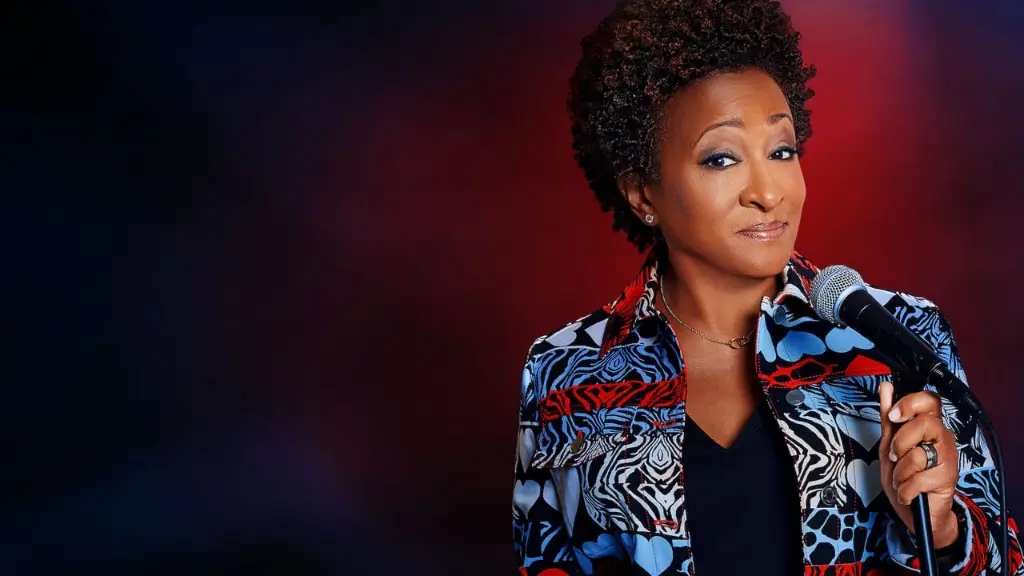 Wanda Sykes: Meu Negócio É Entreter