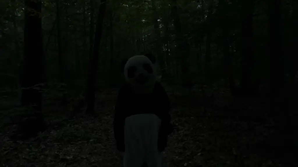 The Wild Panda