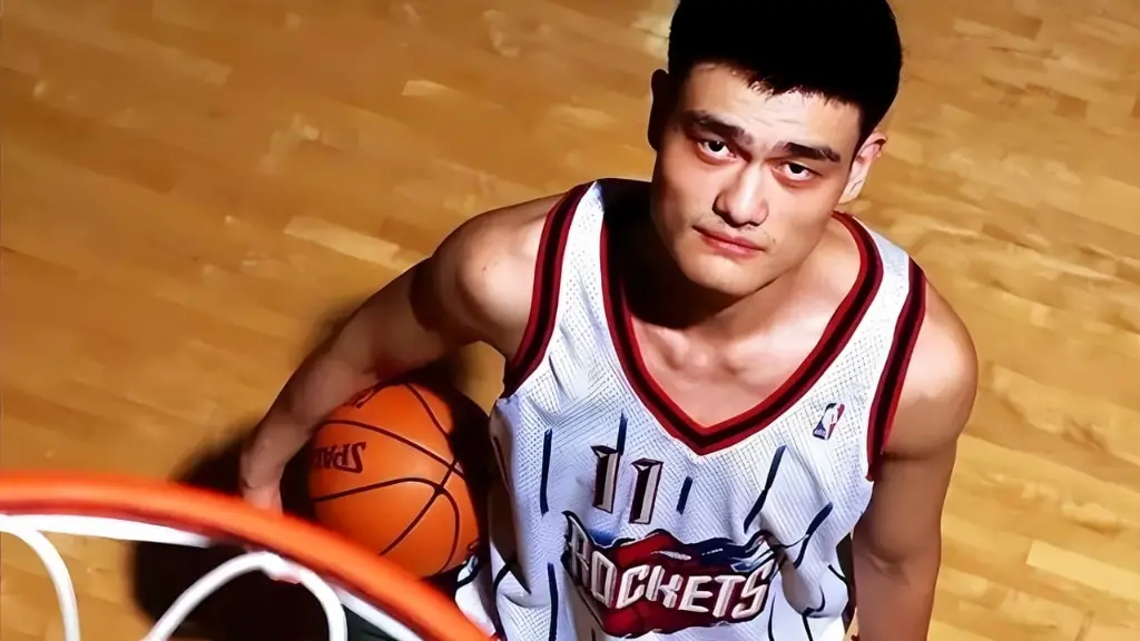 The Year of the Yao