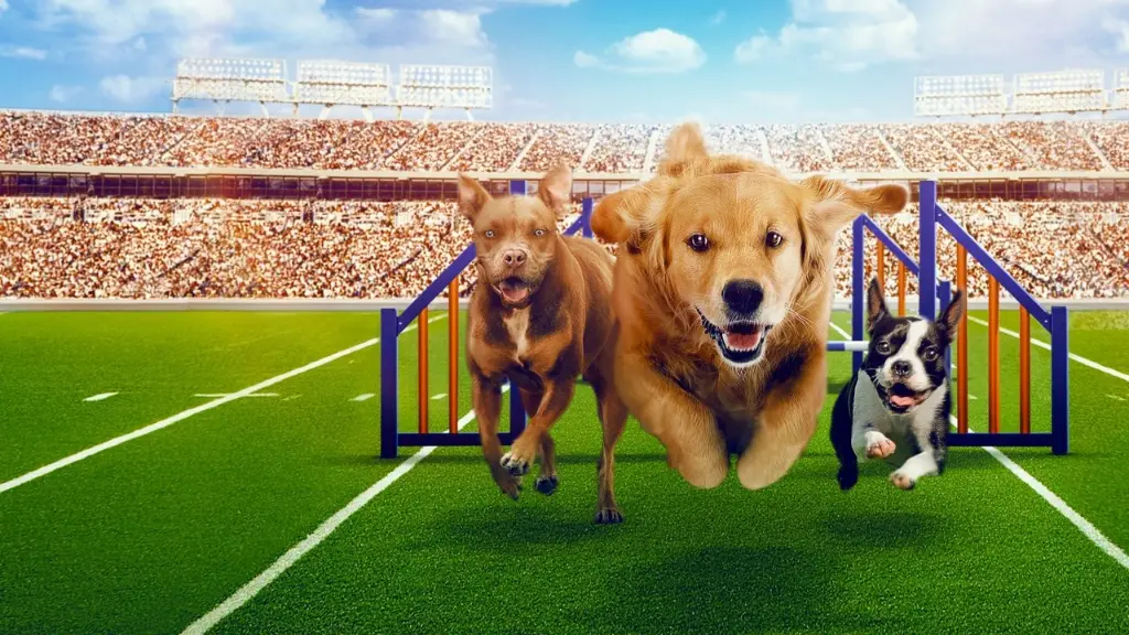 Puppy Bowl Apresenta: Cãolimpíadas