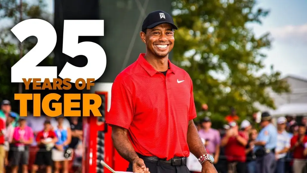 25 Years of Tiger