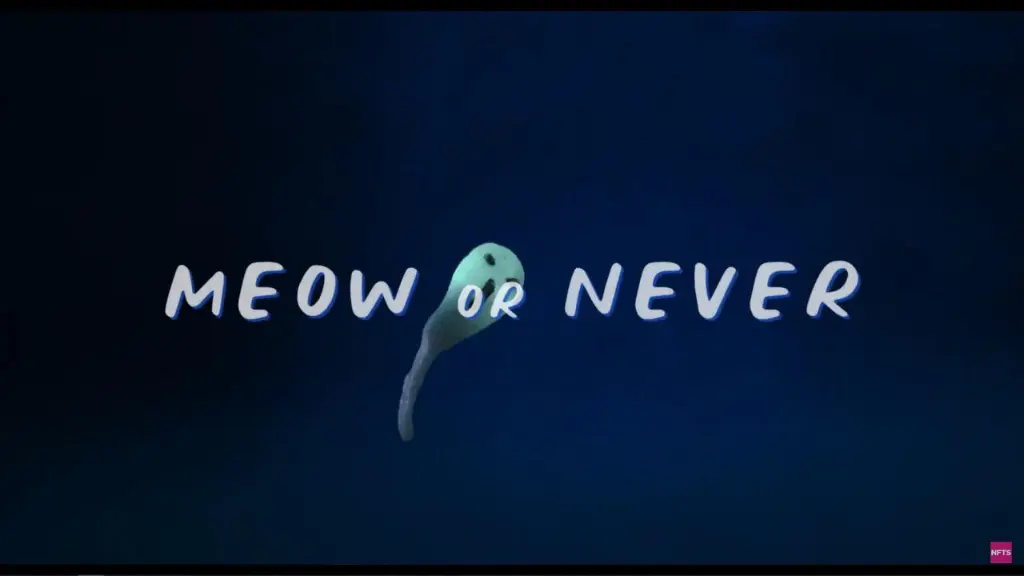 Meow or Never