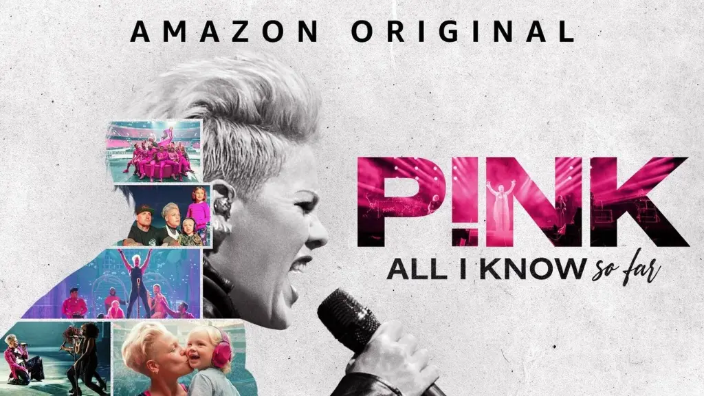 P!NK: Tudo Que Aprendi Até Agora