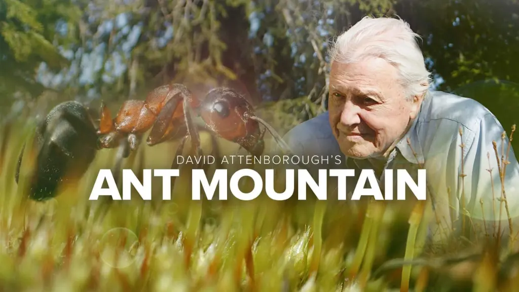 David Attenborough's Ant Mountain