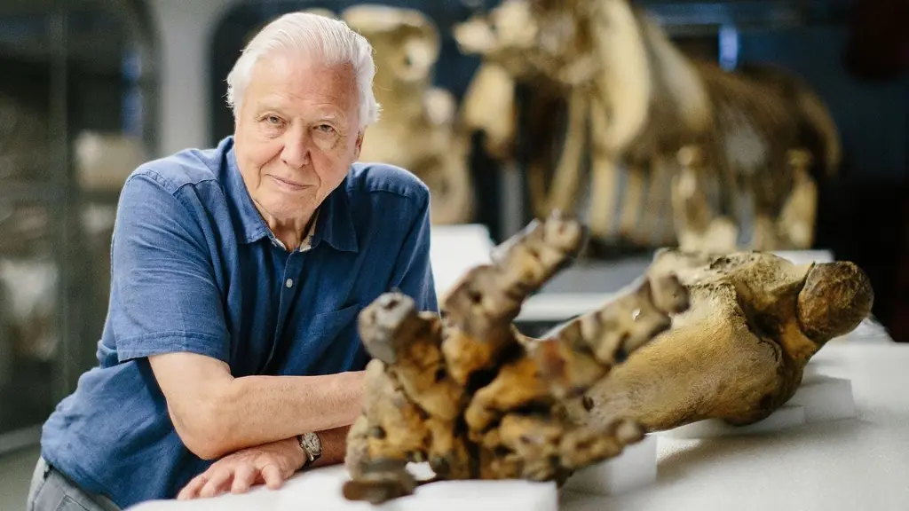 Attenborough and the Giant Elephant