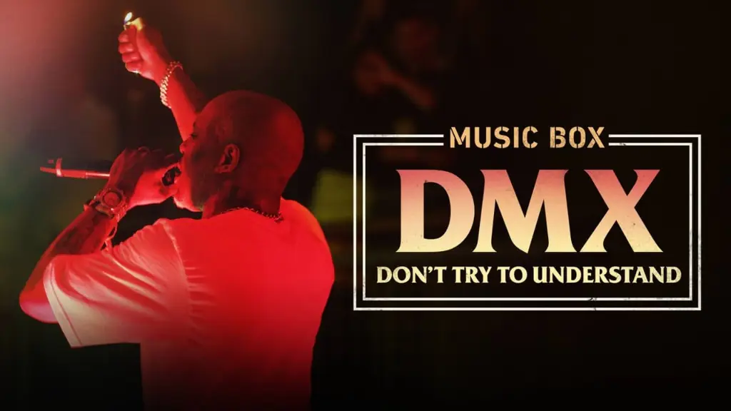 DMX: Don't Try to Understand