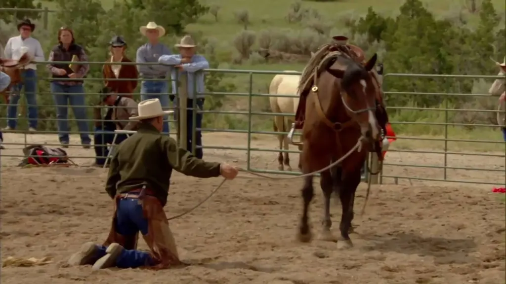 Buck, O Encantador de Cavalos