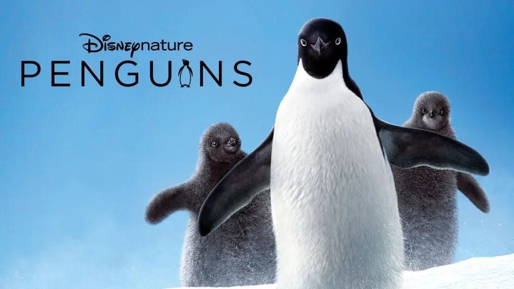 Pinguins