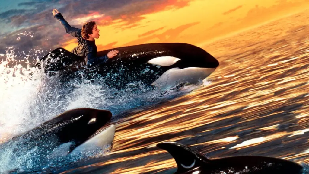 Free Willy 2 - A Aventura Continua