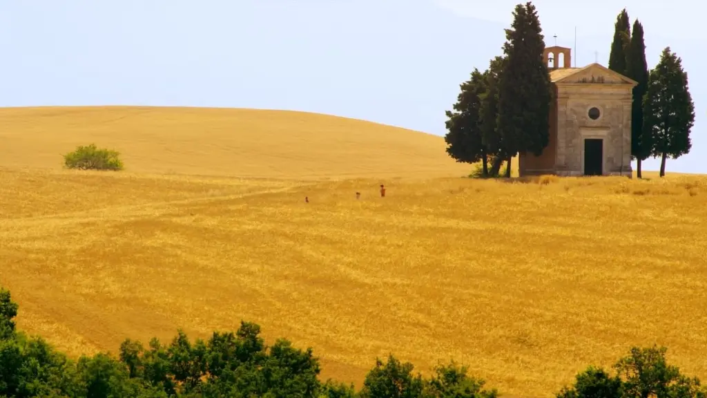 Mare di grano