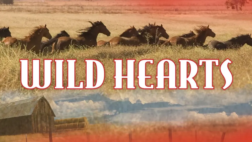 Wild Hearts