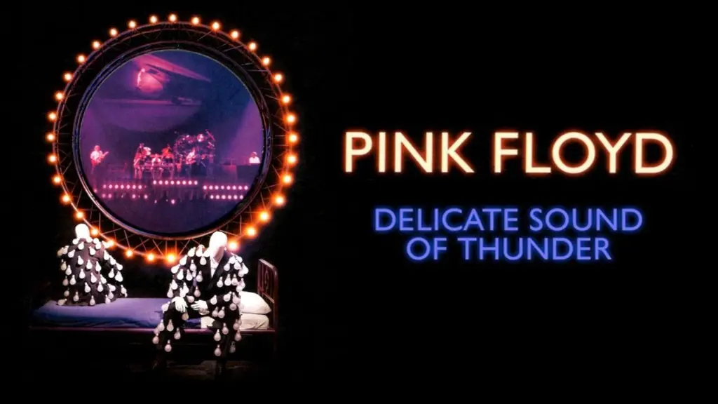 Pink Floyd: Delicate Sound of Thunder