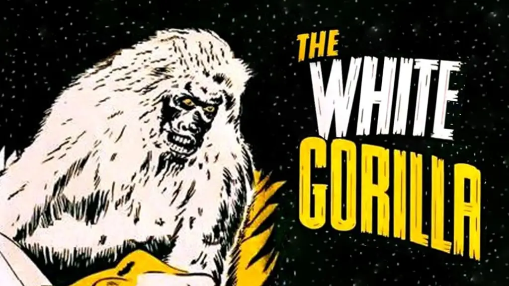 The White Gorilla