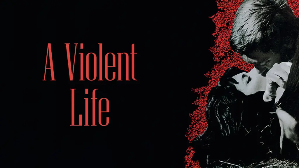 Violent Life