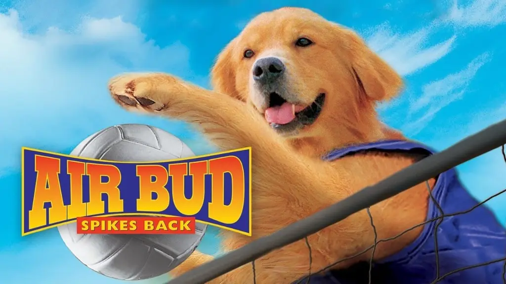 Bud 5: Arrasando no Vôlei!