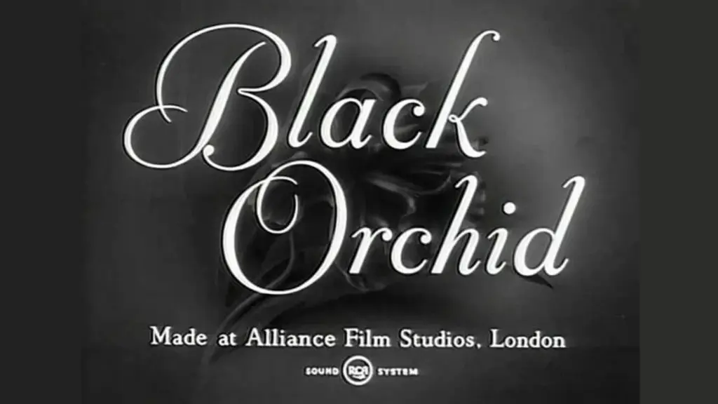 Black Orchid