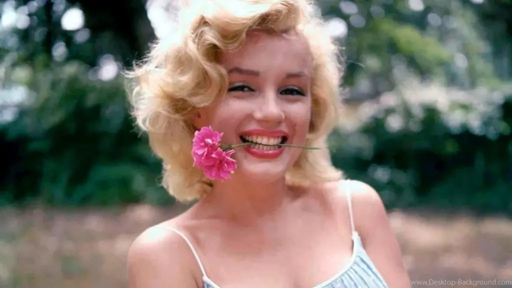 Goodbye, Norma Jean