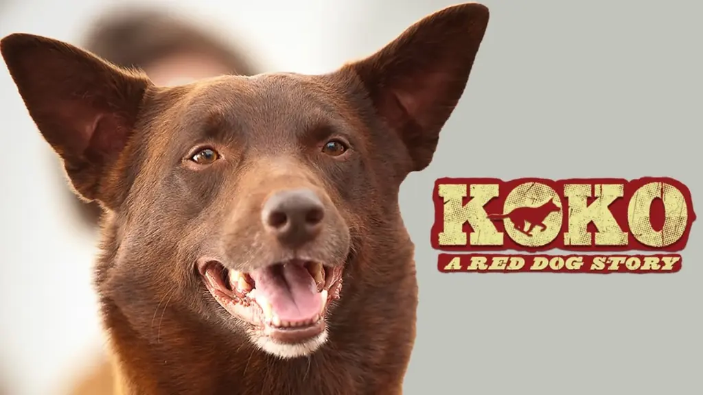 Koko: A Red Dog Story