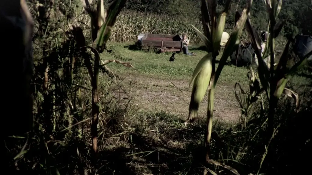 The Killing Fields - o campo da morte