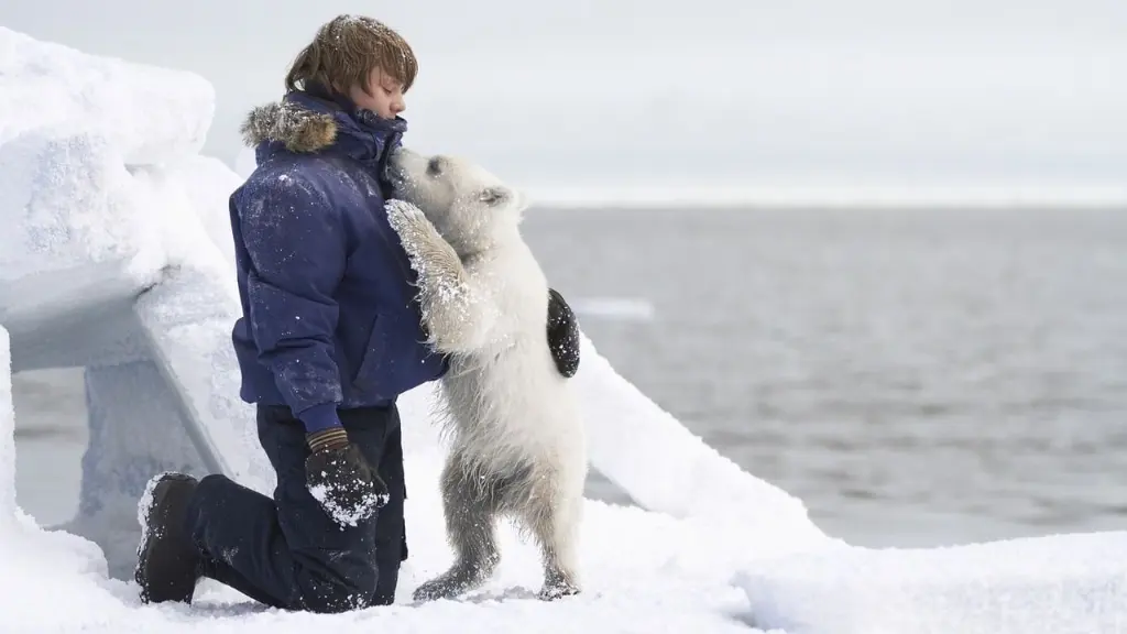 O Menino e o Urso