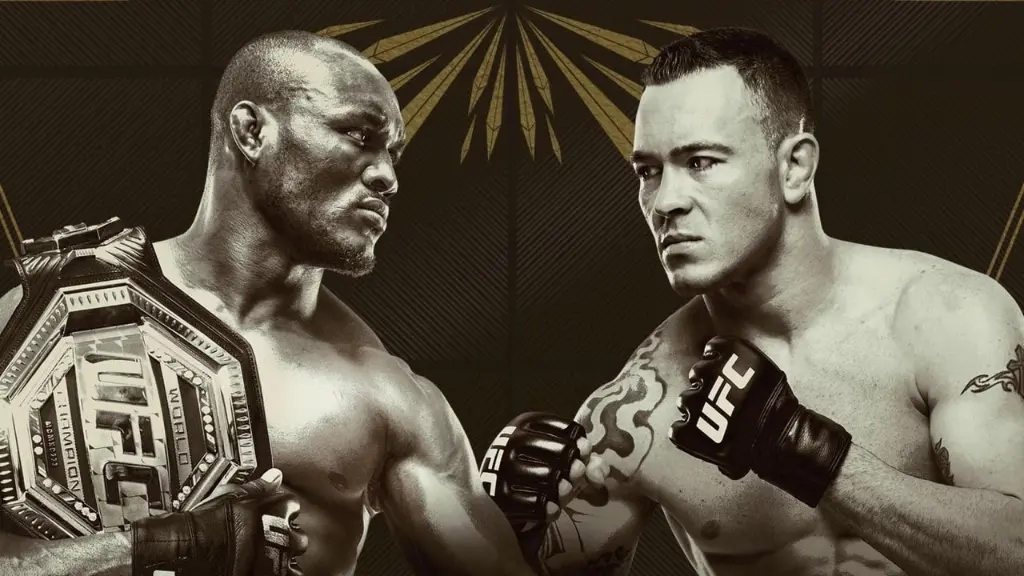 UFC 245: Usman vs. Covington