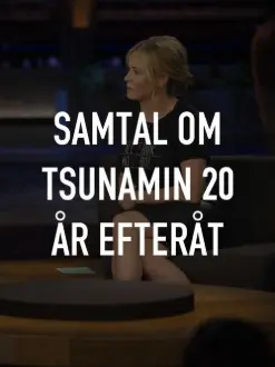 Samtal om tsunamin 20 år efteråt