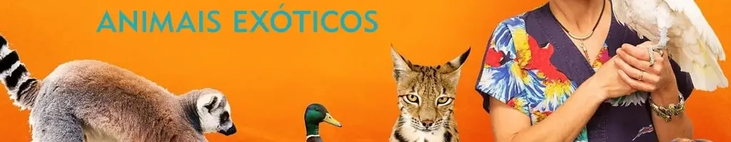 Dra K: Animais Exóticos