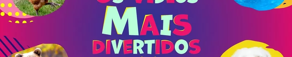 Os Vídeos Mais Divertidos: Especial Animais