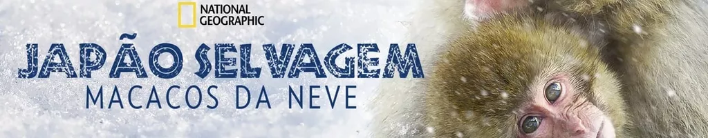 Japão Selvagem: Macacos da Neve