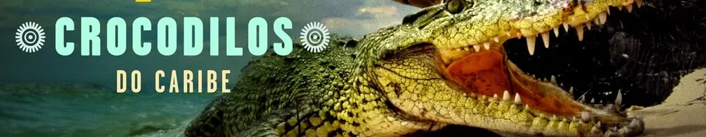 Crocodilos do Caribe