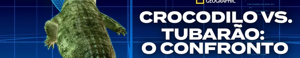 Crocodilo vs. Tubarão: O Confronto