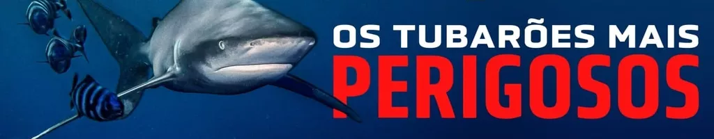 Os Tubarões Mais Perigosos