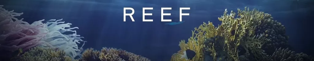 Great Barrier Reef with David Attenborough