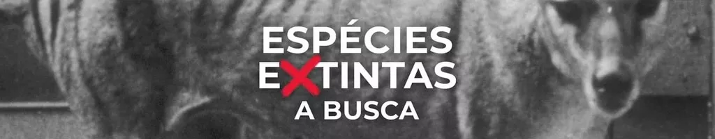 Espécies Extintas: A Busca